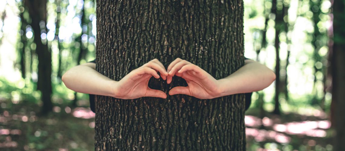 Women's hands hugging a tree in the forest, the concept of love for nature.